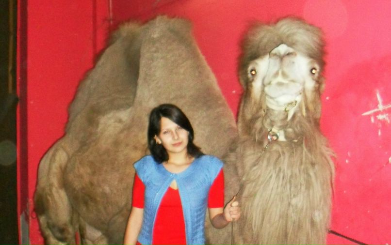 Hota Dammett | Челябинск