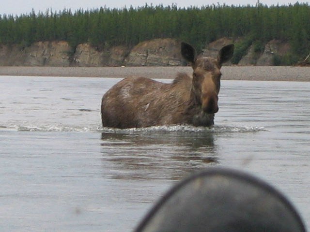 Андрей Касаткин | Анюйск