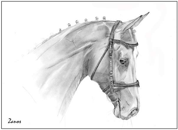 №199, Ирина Корогодова (Долгова), Санкт-Петербург, Россия №199, Ирина Корогодова (Долгова), Санкт-Петербург, Россия