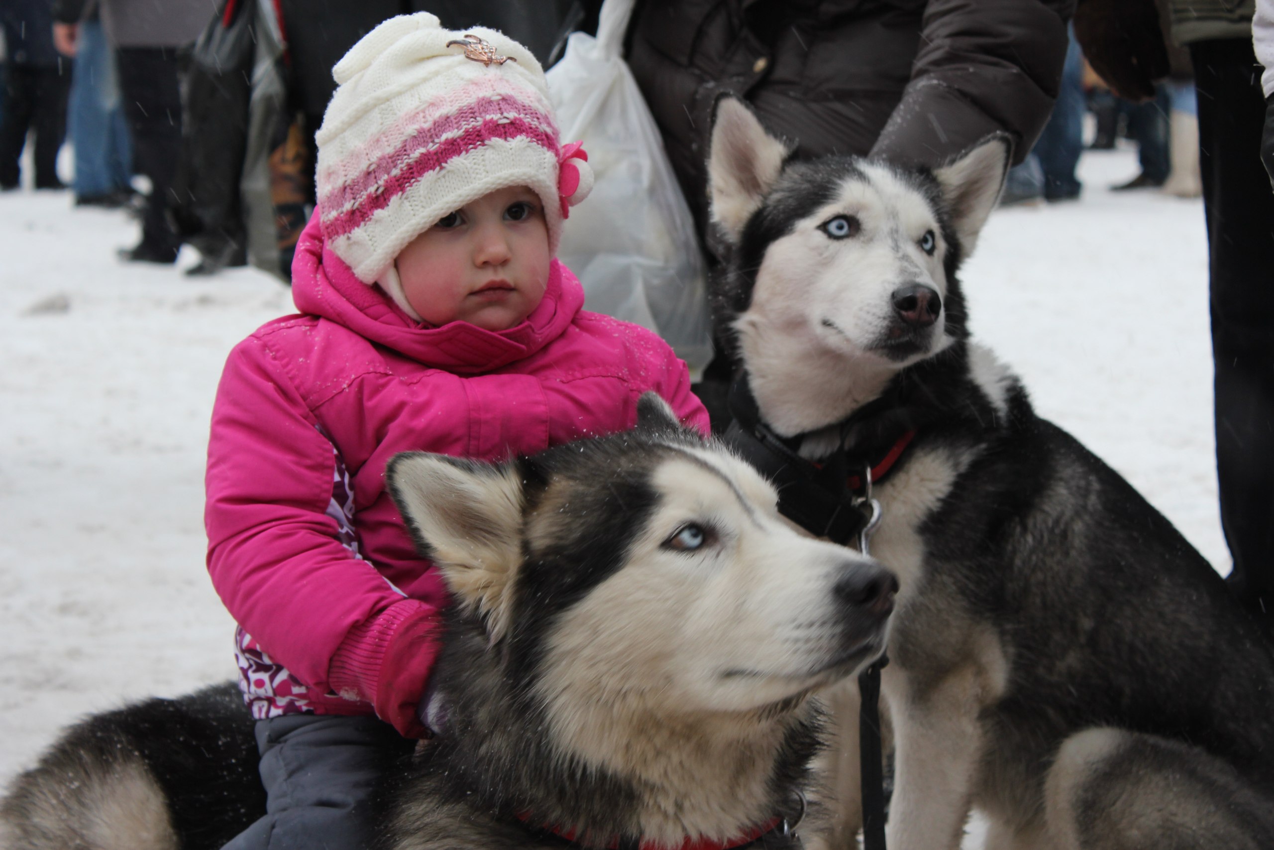 Фото профиля