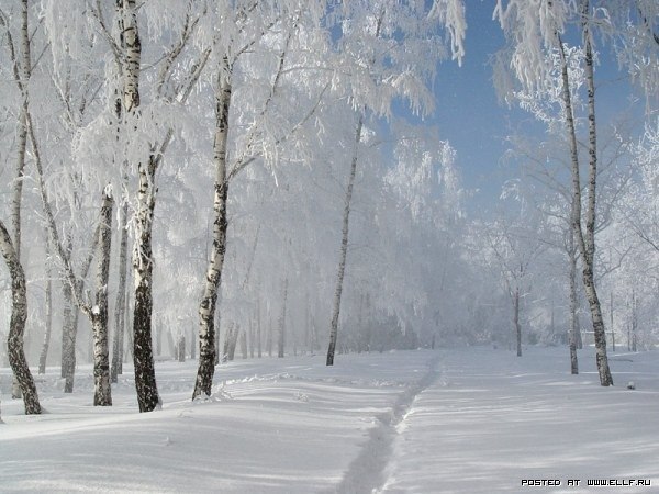 Мария Немирова | Санкт-Петербург