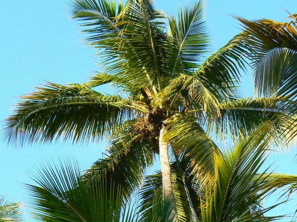 №14, Любовь Наливайко, Санкт-Петербург, Россия №14, Любовь Наливайко, Санкт-Петербург, Россия