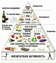 Фотография Елена Зайцева