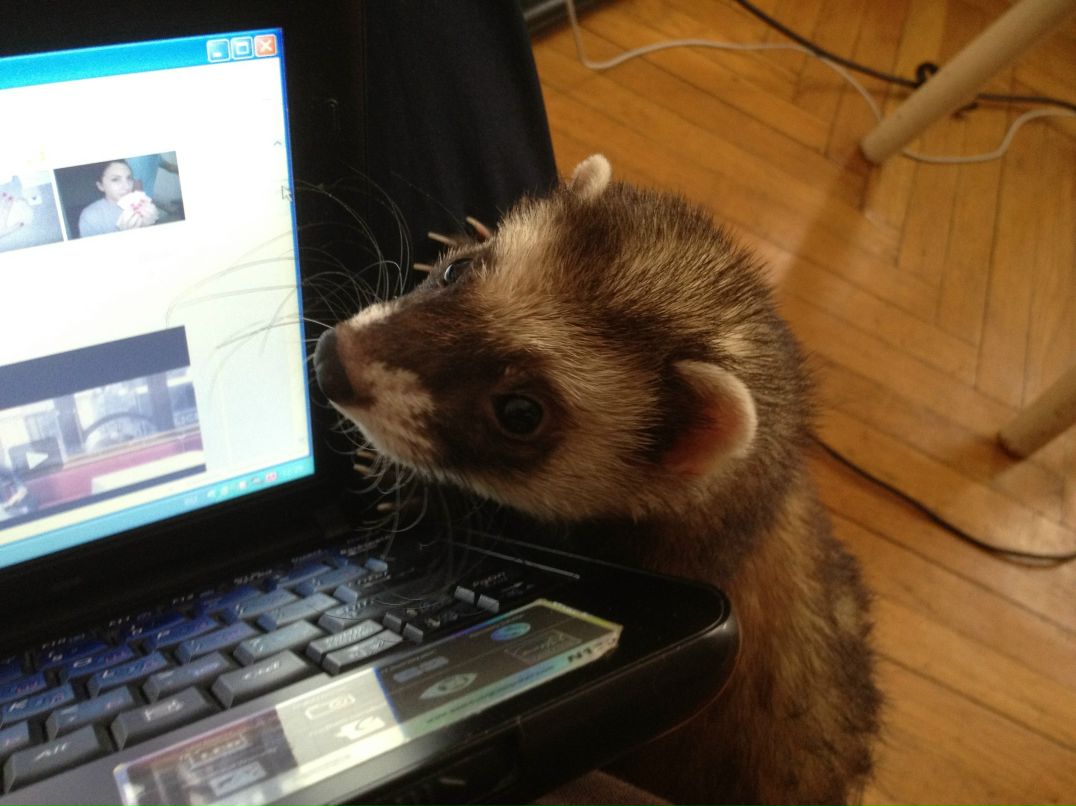 Alvares Vargas | Москва