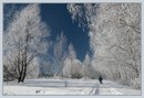 Фотография Марченко Ольги
