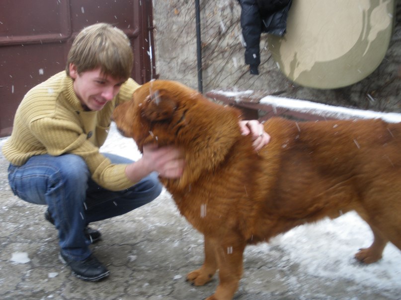 Денис Добряков | Киев