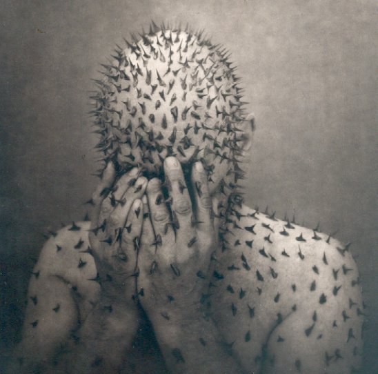 Антон Шавшин Agrael | 