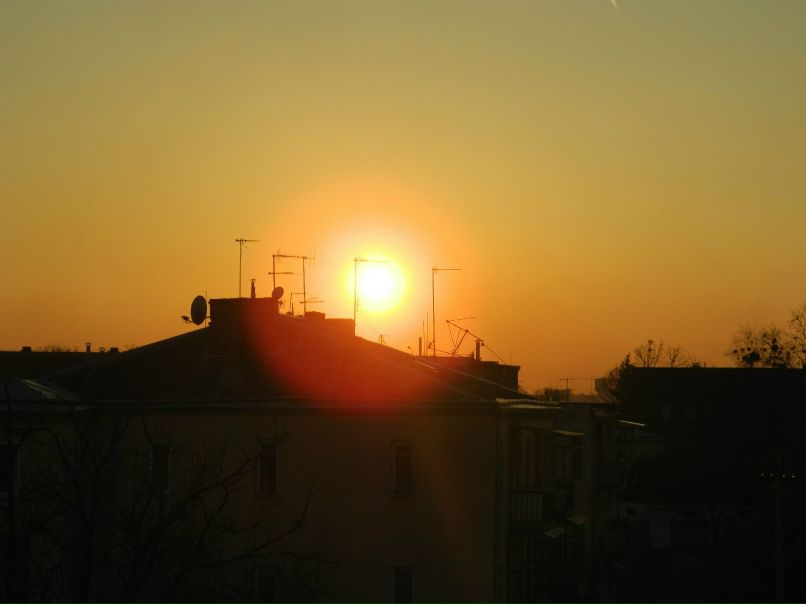 Ростік Паньківський | Львов