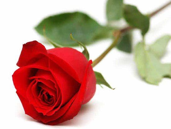 Татьяна Постернак | 