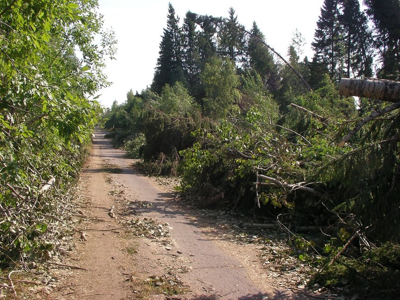 Ольга Маркелова | Санкт-Петербург