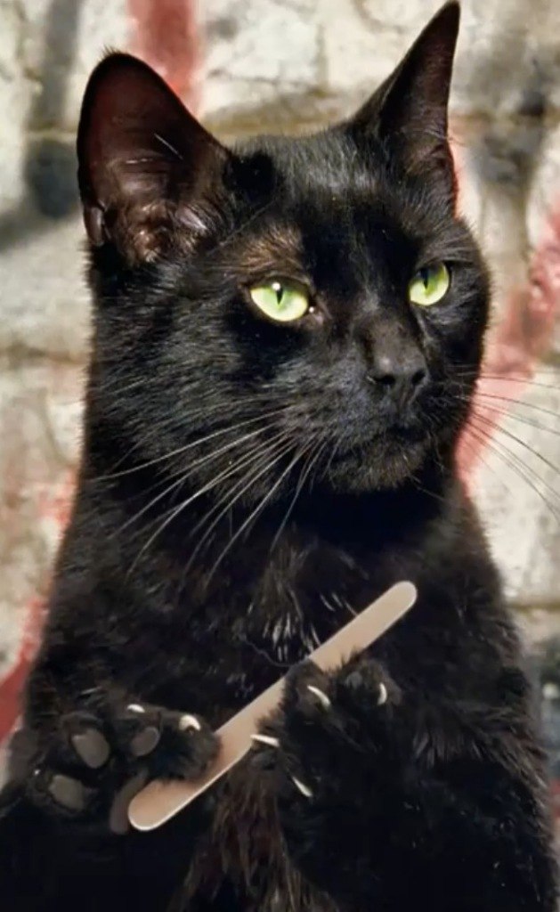 Sanechka Zvezdina ✿ | Москва