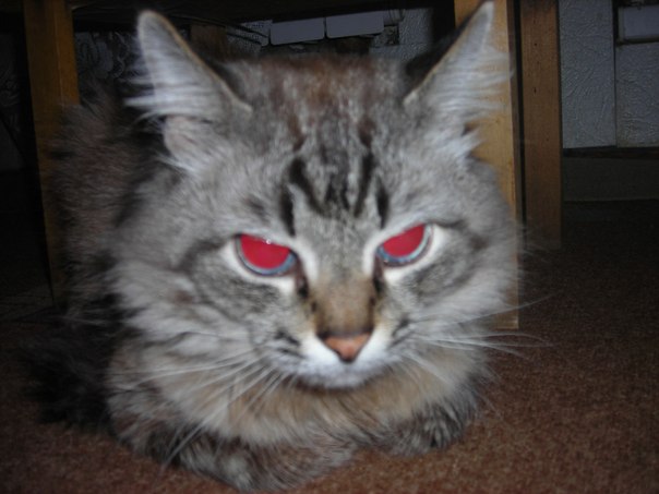 №111, Надежда Григорьева, 14.06.1954, Всеволожск №111, Надежда Григорьева, 14.06.1954, Всеволожск