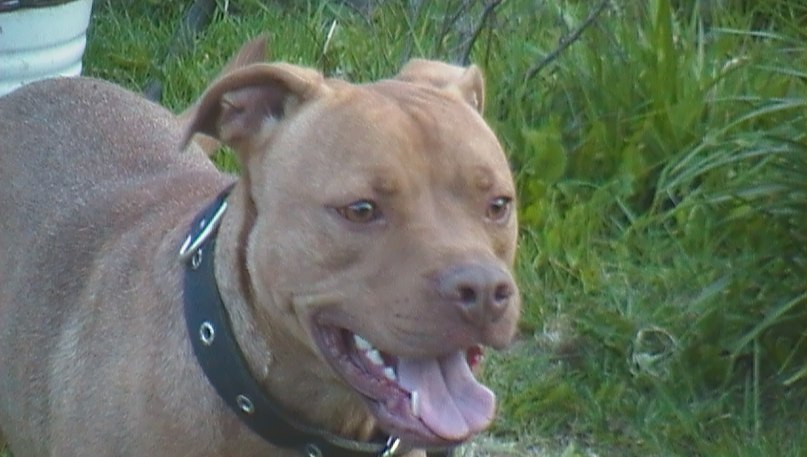 Вадим Кооза | Санкт-Петербург