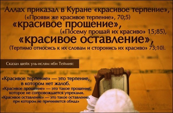 Юлия Чудикова | Ростов-на-Дону