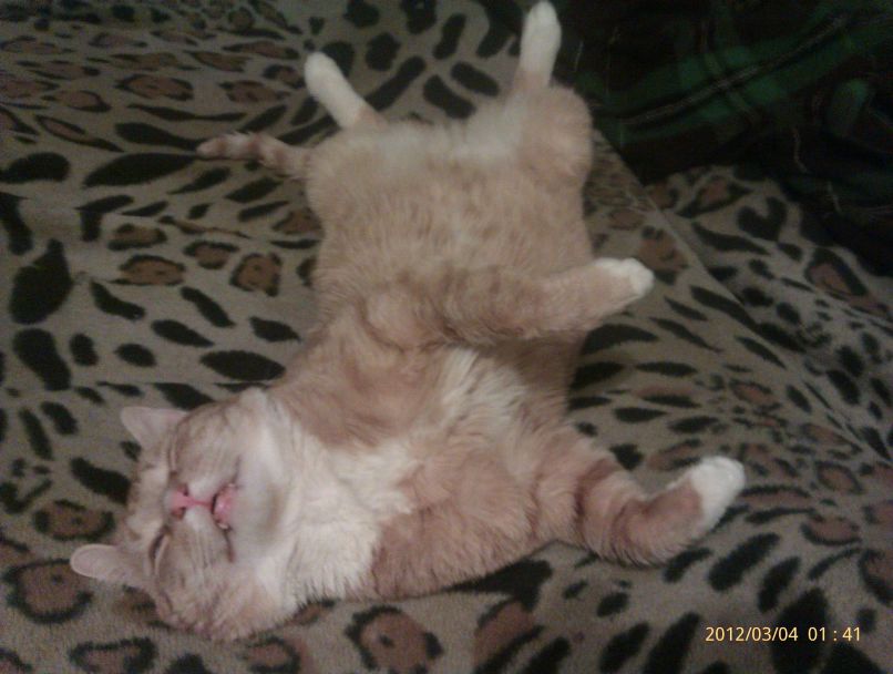 Руслан Яковенко Rassel | Киев