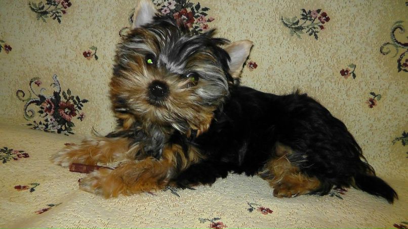 Юлия Иванова | Москва