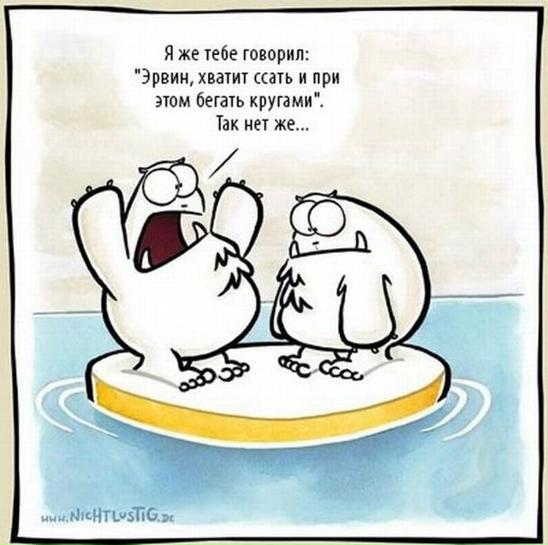 №19, Дмитрий Матросов, Реутов №19, Дмитрий Матросов, Реутов