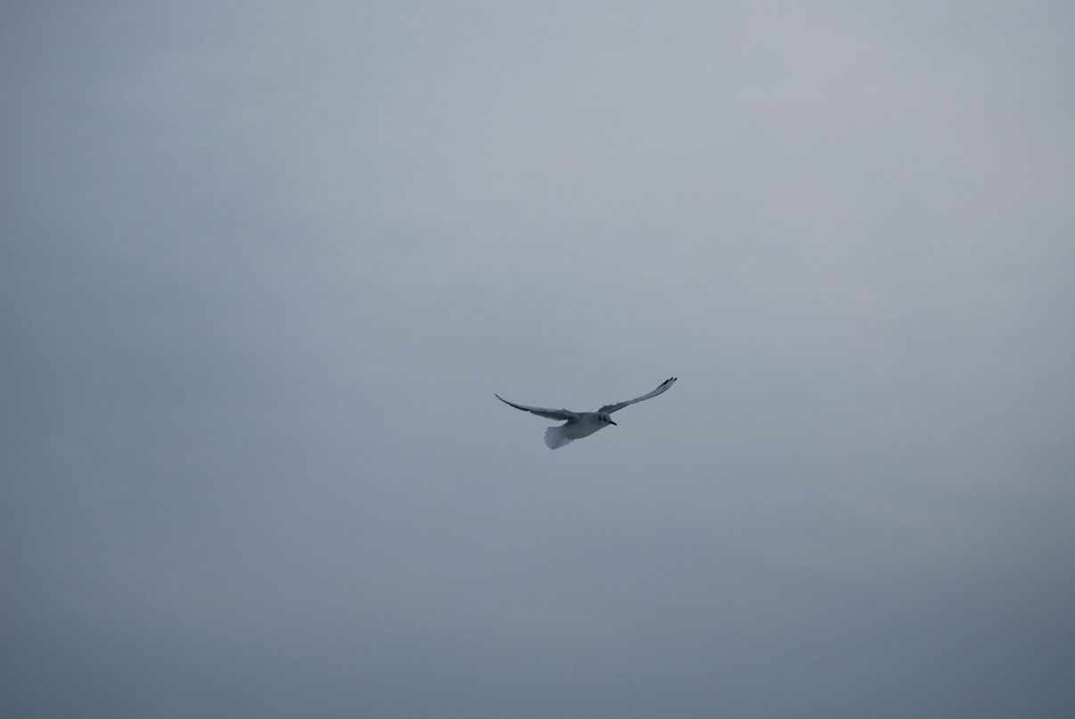 Tyzik Rityzik | Одесса