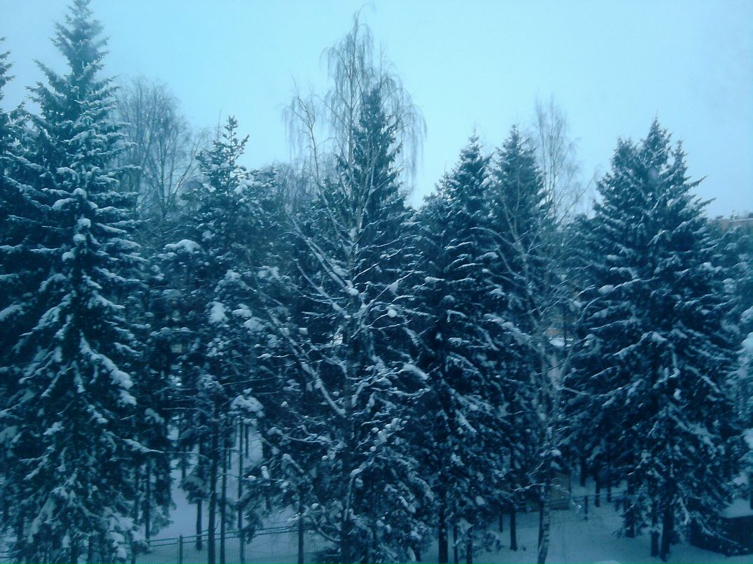 Андрей Сковородников | Санкт-Петербург