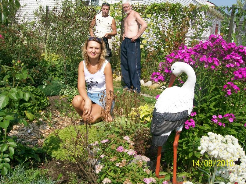 Алексей Степанов | Санкт-Петербург