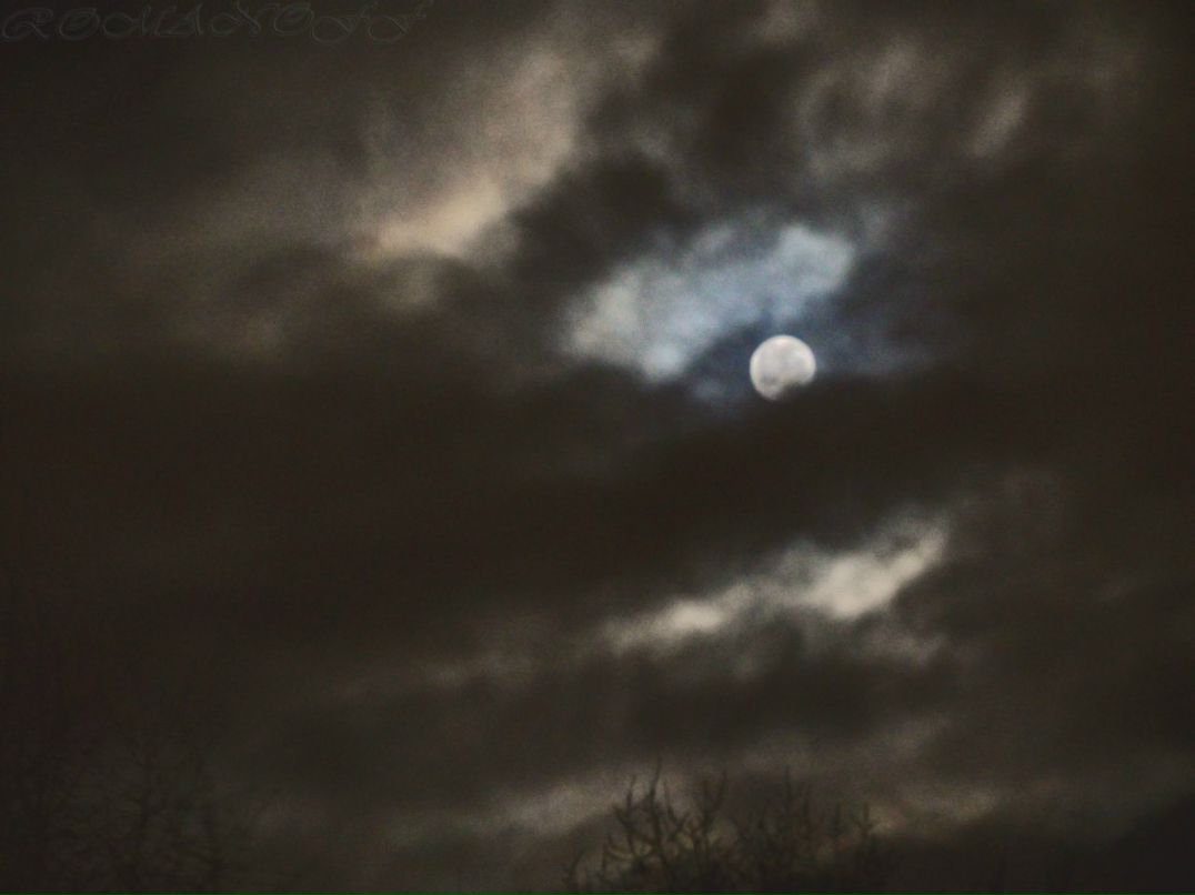 Александр Романов Intelligmind | 