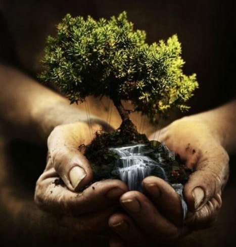 №34, Ольга Мечтаева, Рязань №34, Ольга Мечтаева, Рязань