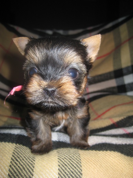 №48, Юлия Липустина, Киев №48, Юлия Липустина, Киев