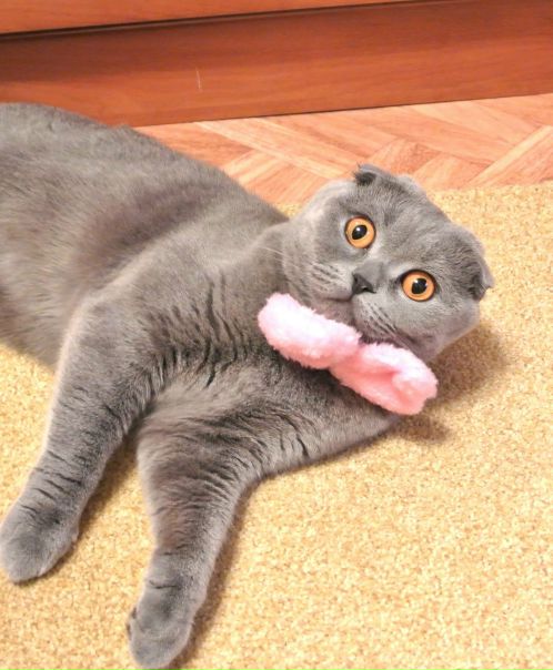 №148, Марина Хромченко, Харьков №148, Марина Хромченко, Харьков