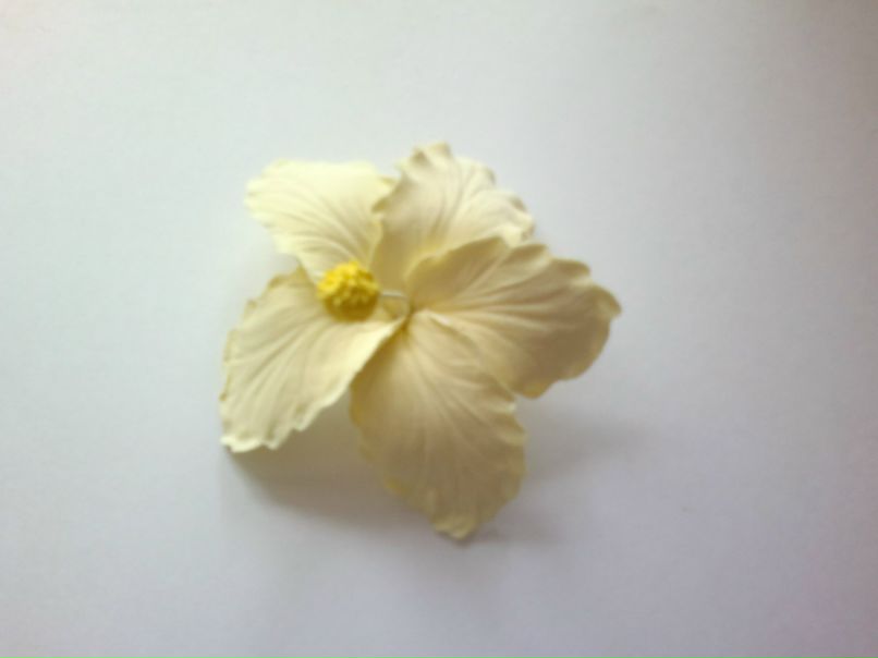 Анастасия Сидорова | Пермь