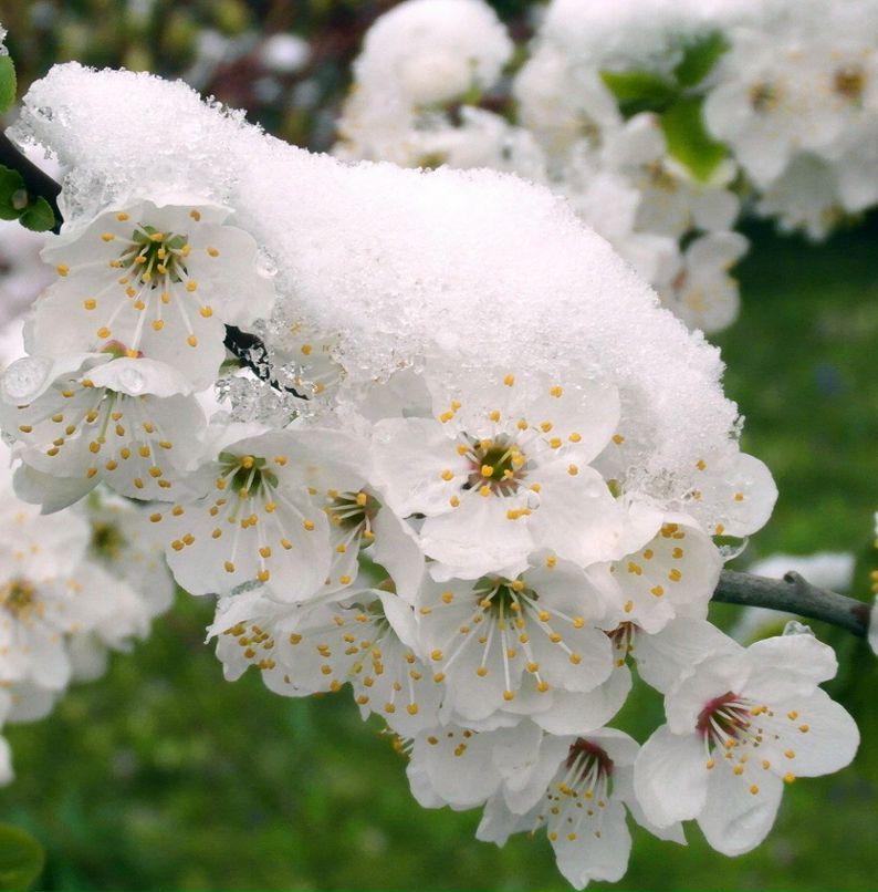 Irina Solovei | Санкт-Петербург