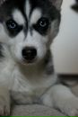 №9 Анастасия Королёва 09.01.1992: профиль, фото, статус - ВКонтакте