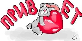 №19, Edik Pahalan, 37 лет, Ростов-на-Дону №19, Edik Pahalan, 37 лет, Ростов-на-Дону