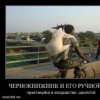 Аватар: Boodoas@mail.ru Boodoas@mail.ru