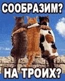 №10, Илюха Кобцев, 37 лет, Houston №10, Илюха Кобцев, 37 лет, Houston