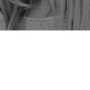 №1, Светлана Кривова №1, Светлана Кривова