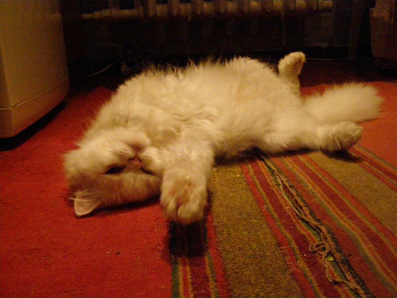 №59, Настя Борисенко, 33 года, Porto №59, Настя Борисенко, 33 года, Porto