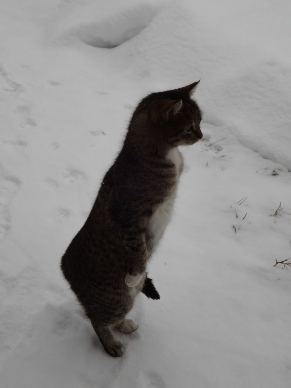 Юрий Алехин | Липецк