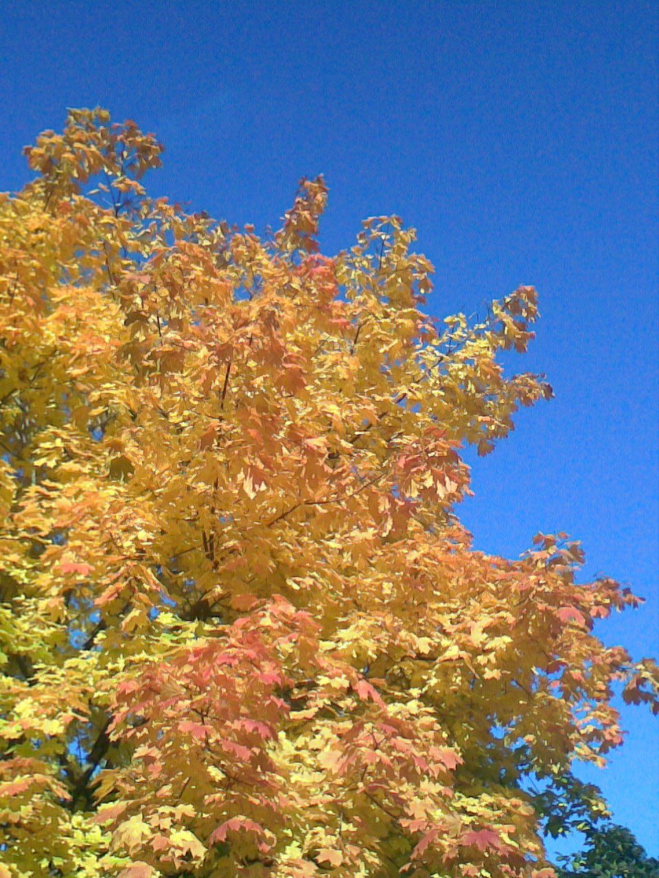 Наталья Владимирова | Москва