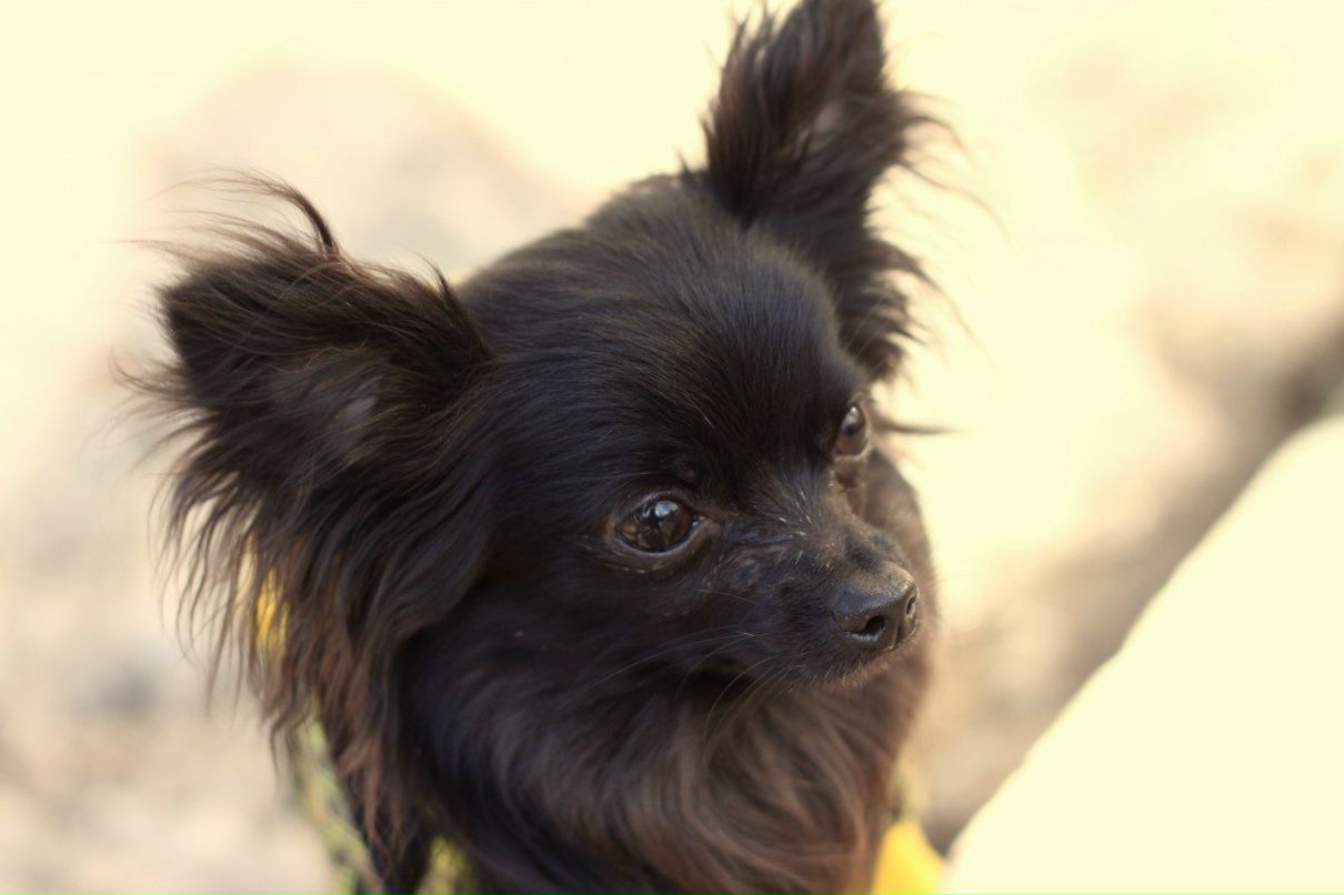 Танюшка Варварина ♥♥♥ | Щербинка