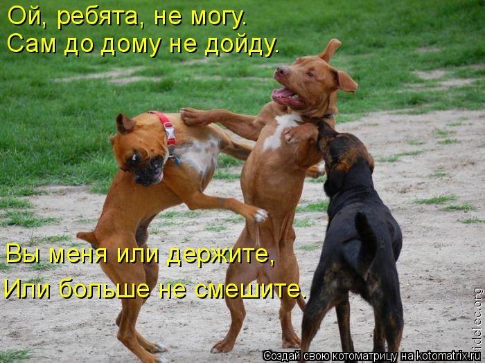 Регина Лейв | Одесса