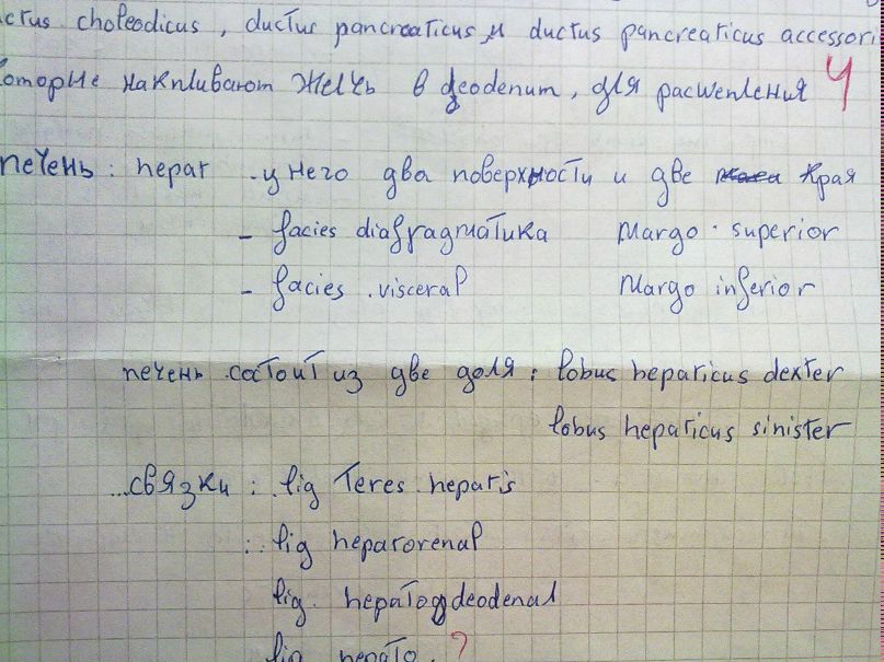 Марина Рысь Дмитриевна | 