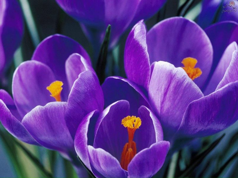 Вера Мединская Вода | Липецк