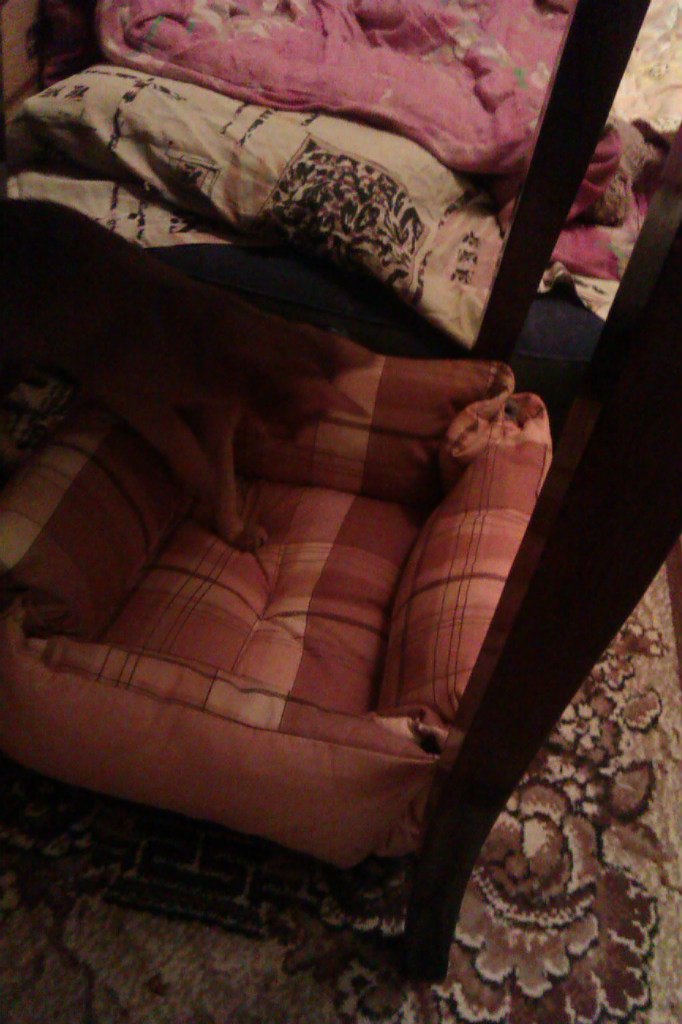 Михаил Ефимов | Москва