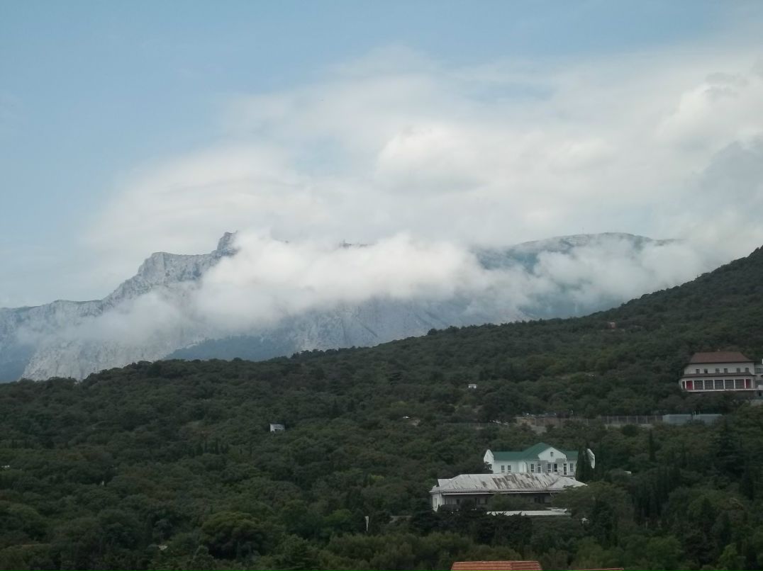 Наталия Халатова | 