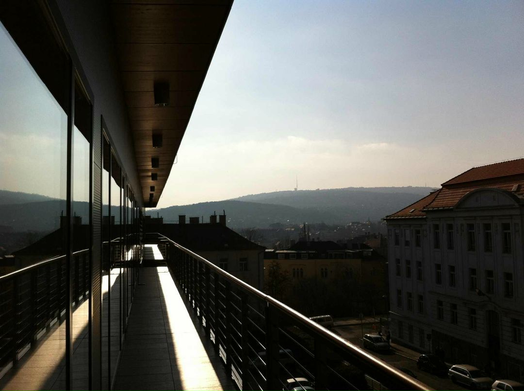 Александр Тимакин | Санкт-Петербург