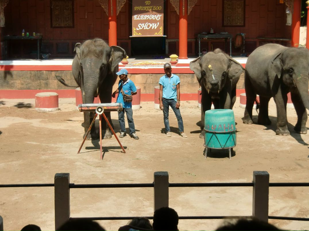 Фаиль Файзуллин | Сургут