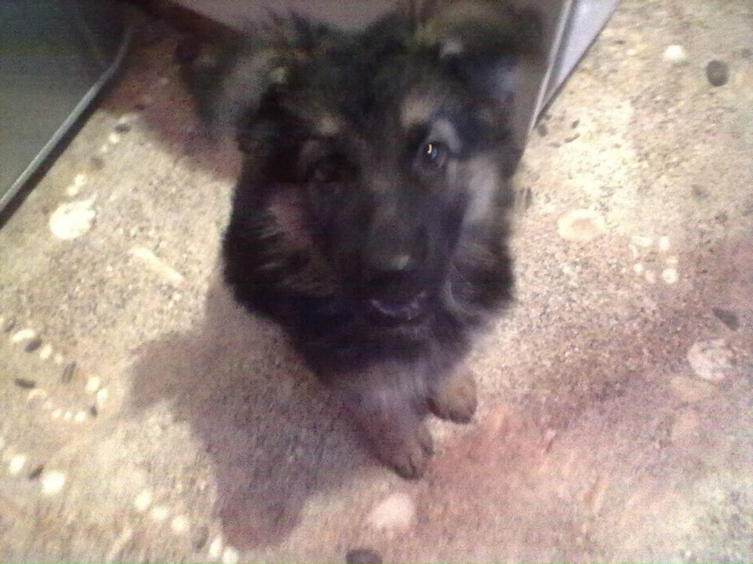 Дмитрий Горшенин | Харьков