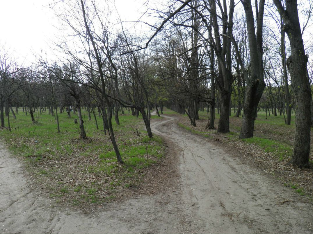 Александр Маласай | Днепр (Днепропетровск)