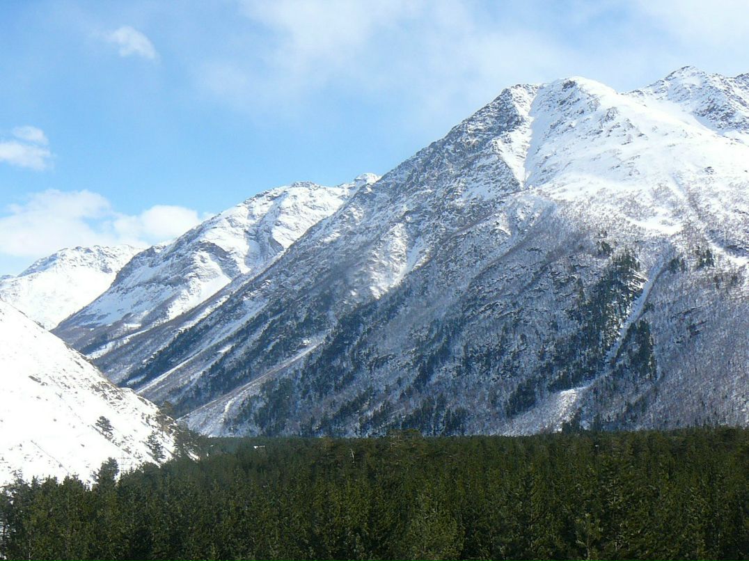 Анна Пасмурова | Санкт-Петербург