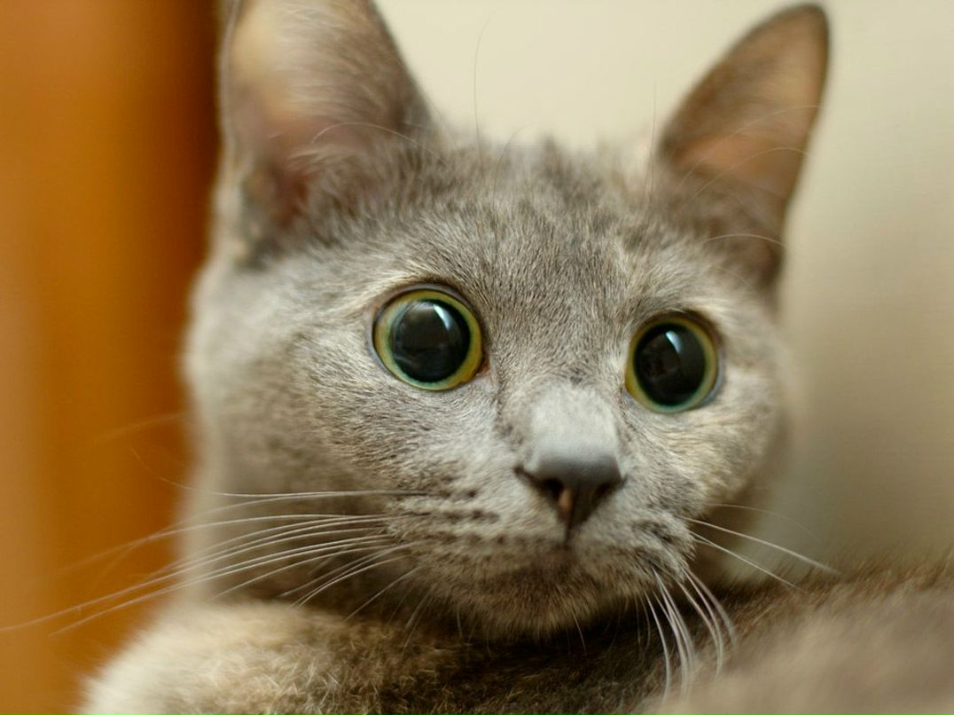 Екатерина Дерюшева Юрьевна | 